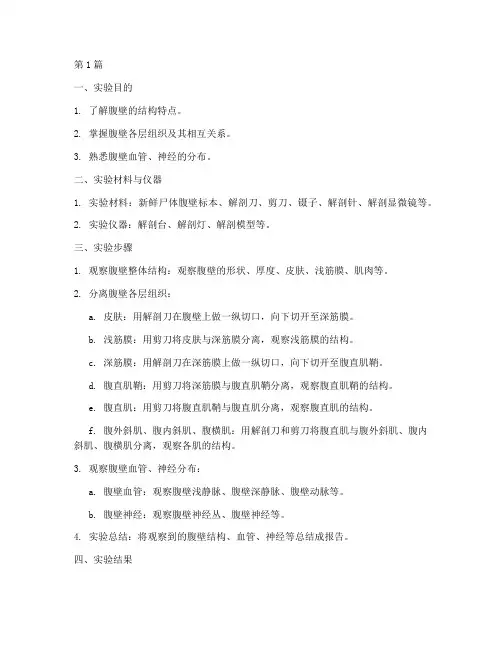 局解实验报告腹壁(3篇)