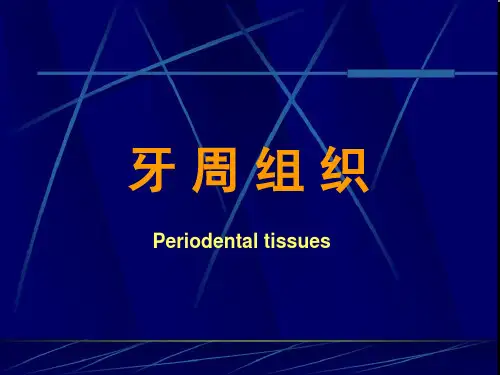 牙周组织(PPT48页)