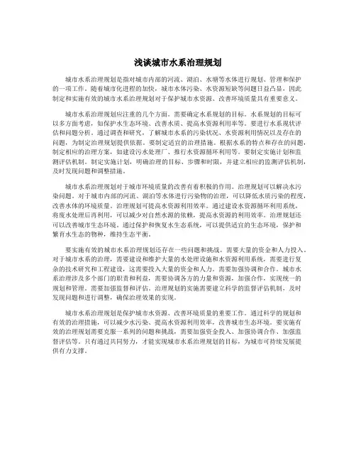 浅谈城市水系治理规划