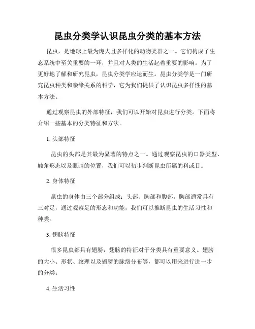 昆虫分类学认识昆虫分类的基本方法