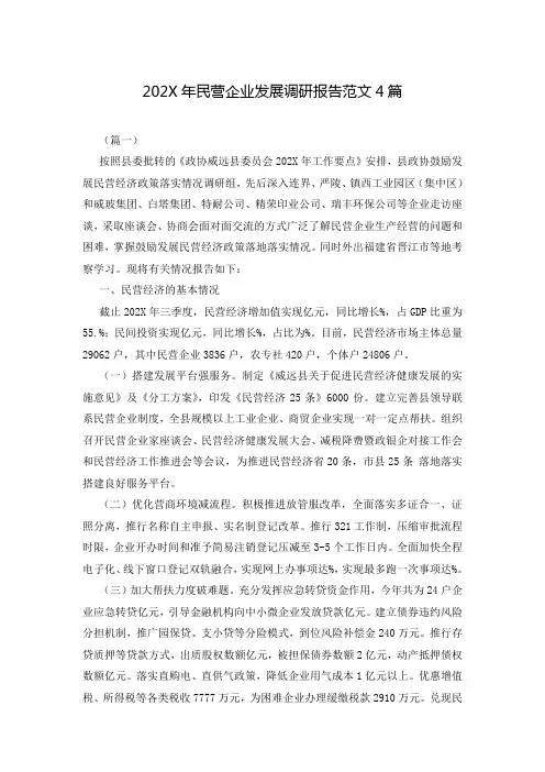 202X年民营企业发展调研报告范文4篇