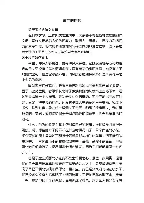吊兰的作文