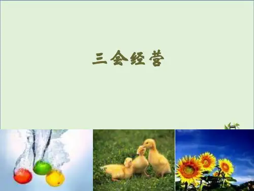 保险公司三会经营