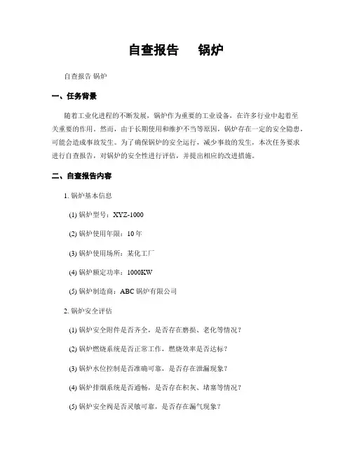 自查报告   锅炉