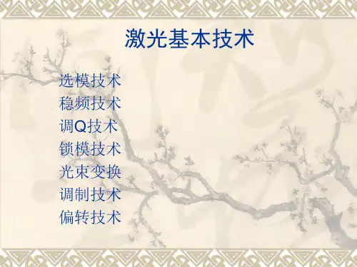 激光原理4.1激光器输出的选模