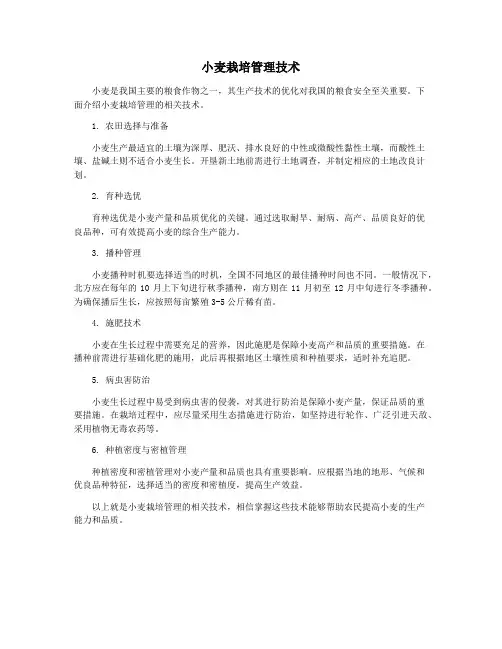 小麦栽培管理技术