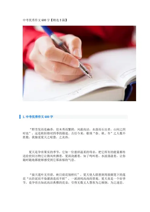 中考优秀作文600字【精选5篇】