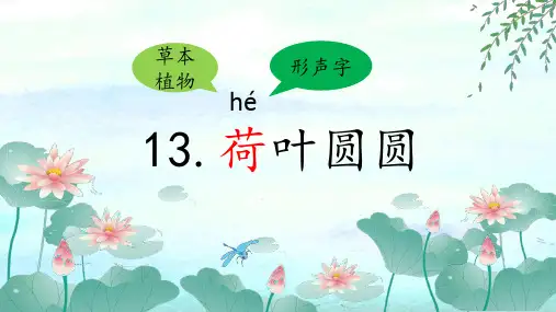 统编版一年级语文下册13荷叶圆圆(课件)(共17张PPT)