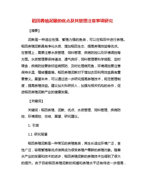 稻田养殖泥鳅的优点及其管理注意事项研究
