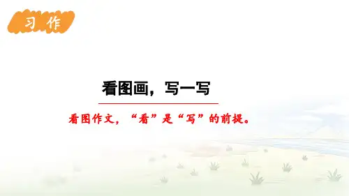 统编版语文三年级下册习作：看图画,写一写课件(共16张PPT)