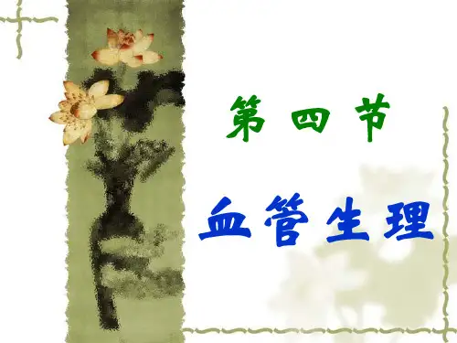 解剖生理学血管生理