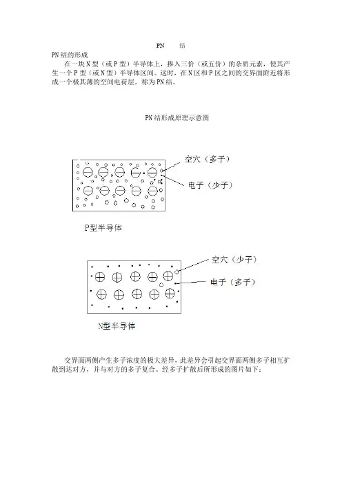 PN     结