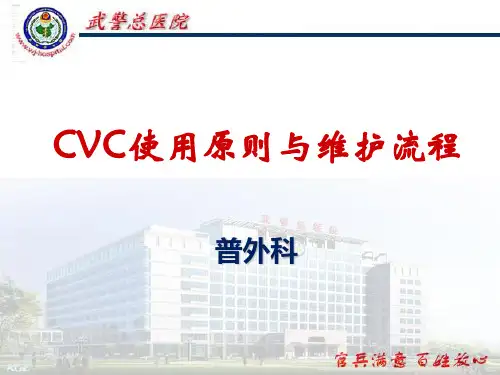 CVC使用原则与维护流程