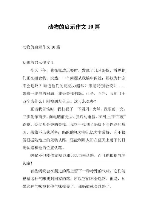 动物的启示作文10篇