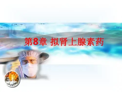 [课件]第8章 拟肾上腺素药PPT