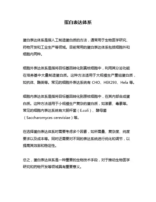 蛋白表达体系