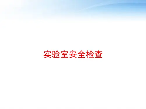 实验室安全检查 ppt课件