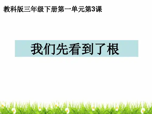 最新教科版科学三年级下册《我们先看到了根》精品课件