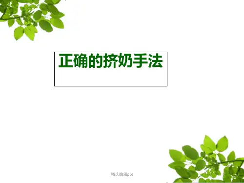正确的挤奶手法ppt课件