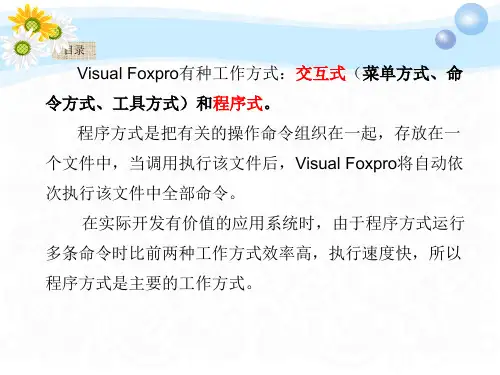 第7章 VF结构化程序设计