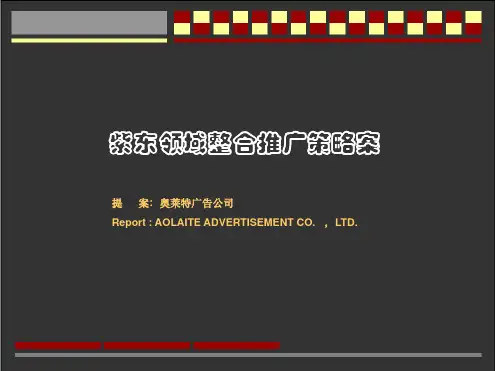 紫东领域整合推广的策略案