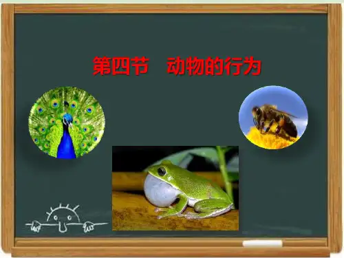 济南版七年级生物上册《动物的行为》课件
