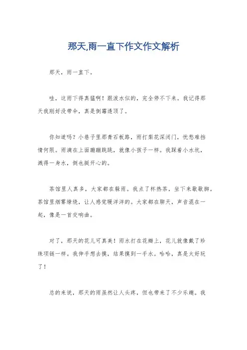 那天,雨一直下作文作文解析