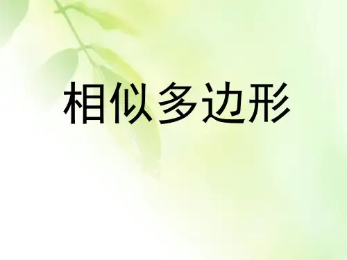 《相似多边形》优秀课件doc资料