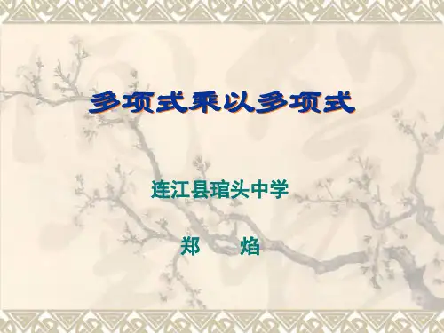 多项式乘以多项式PPT课件