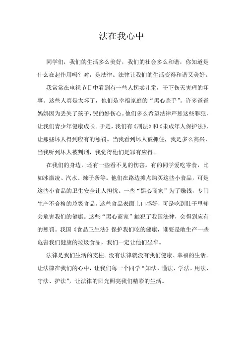 法在我心中