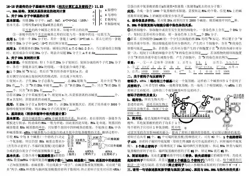 一轮复习遗传的分子基础之DNA结构、复制和表达的计算汇总含密码子内容