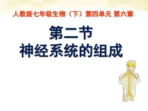 6-2《神经系统的组成》ppt