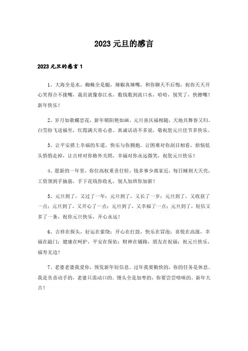 2023元旦的感言