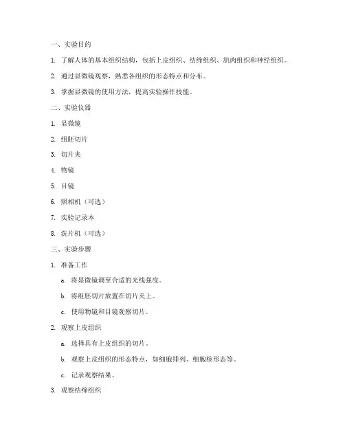 组胚学实验报告
