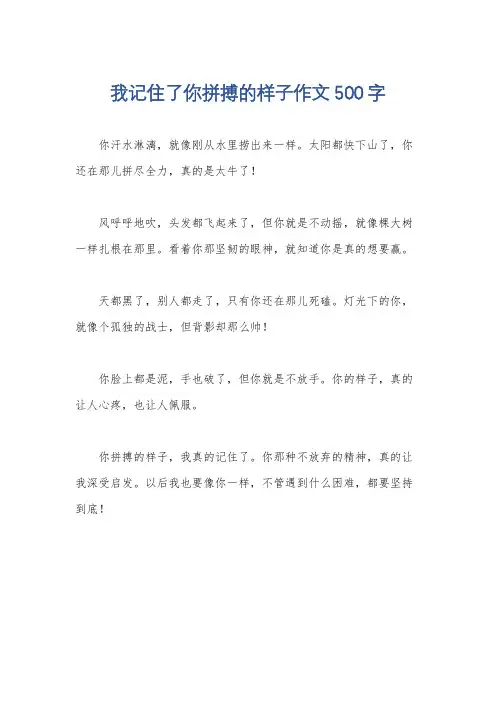 我记住了你拼搏的样子作文500字