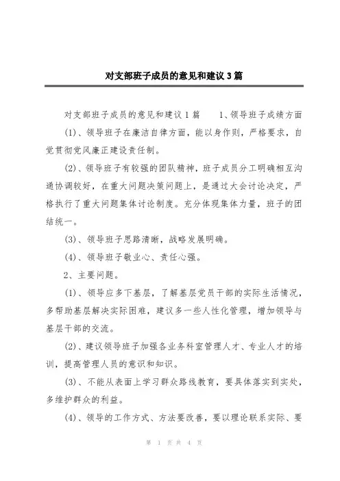对支部班子成员的意见和建议3篇