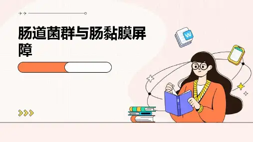 肠道菌群与肠黏膜屏障
