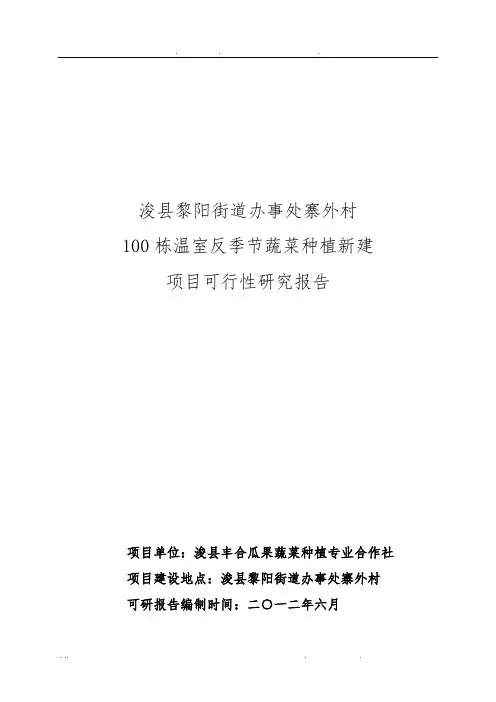 温室反季节蔬菜种植项目可行性方案研究报告