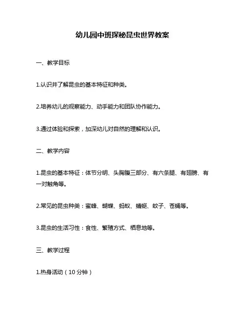 幼儿园中班探秘昆虫世界教案
