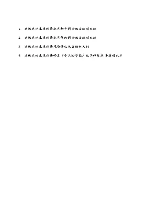 建设用地土壤污染状况初步详细调查修复含风险管控效果评估风险评估报告编制大纲