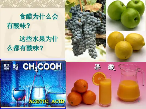 常见的酸和碱上课用ppt课件