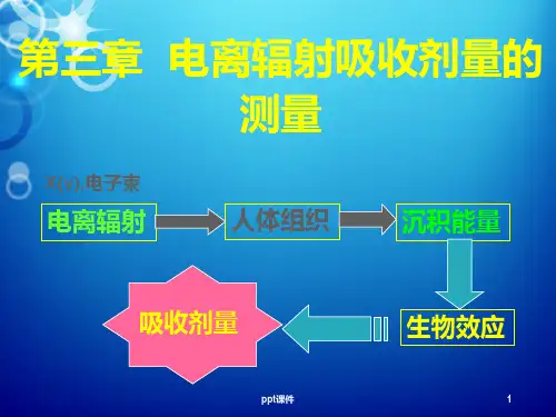电离辐射吸收剂量的测量  ppt课件