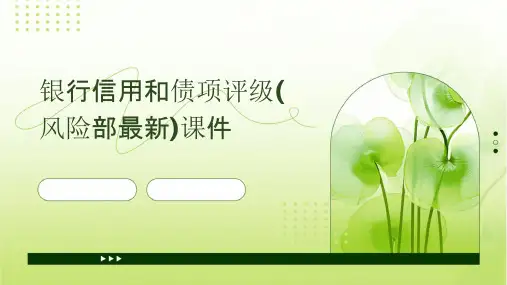银行信用和债项评级(风险部最新)课件