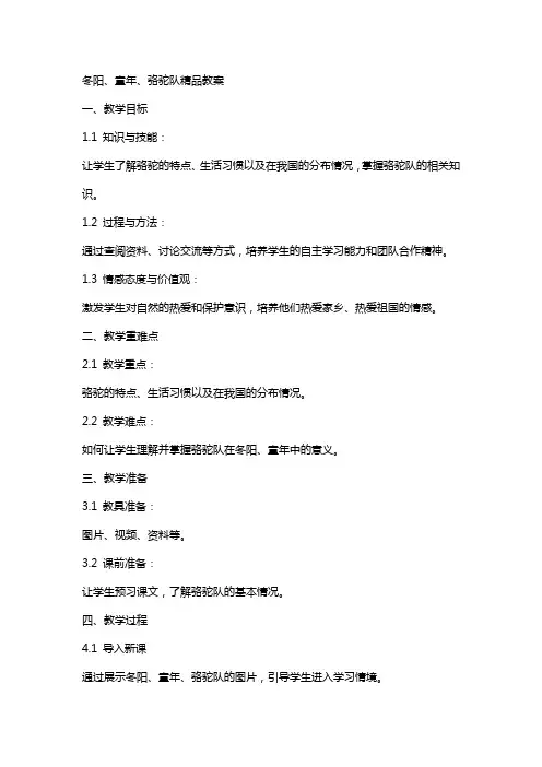 冬阳,童年,骆驼队教案