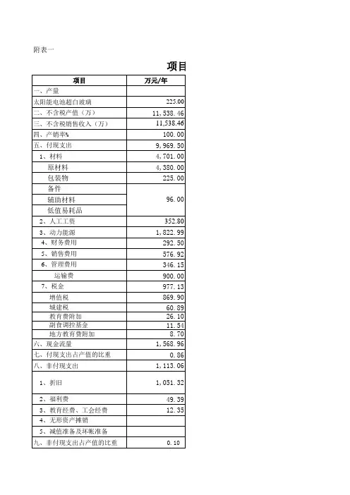 项目投入产出及现金流量分析估算表