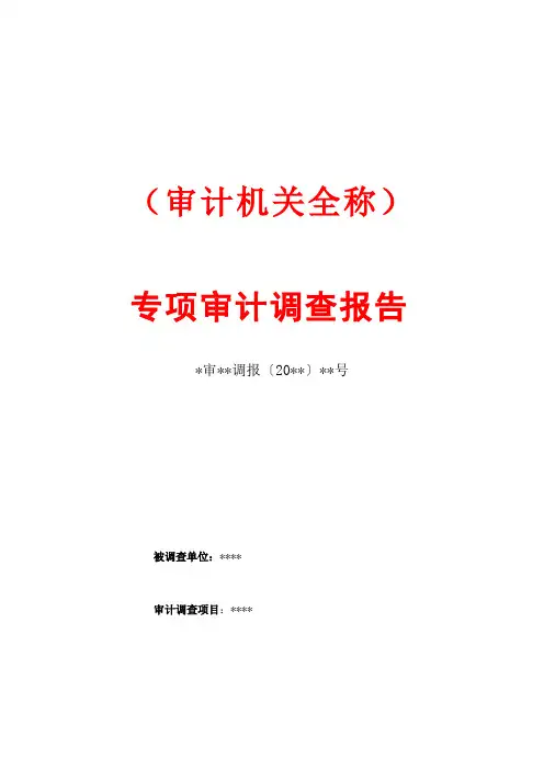 专项审计调查报告模板