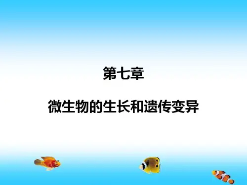 水处理生物学第七章1
