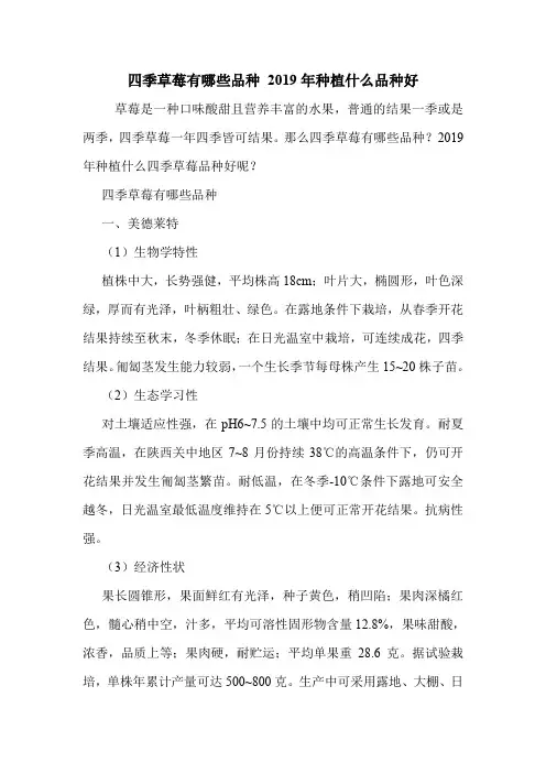 四季草莓有哪些品种 2019年种植什么品种好.doc