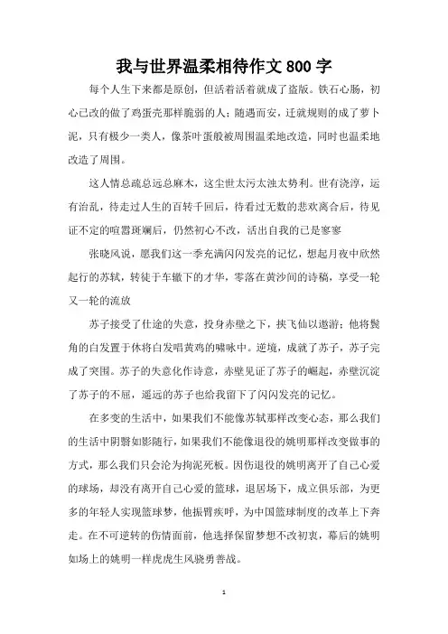 我与世界温柔相待作文800字(精编版)