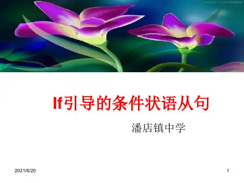 If引导的条件状语从句